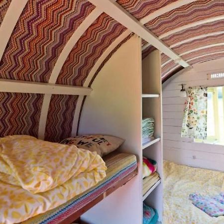 Clissmann Horse Caravans Glamping Rathdrum Exterior photo