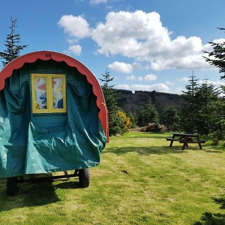 Clissmann Horse Caravans Glamping Rathdrum Exterior photo