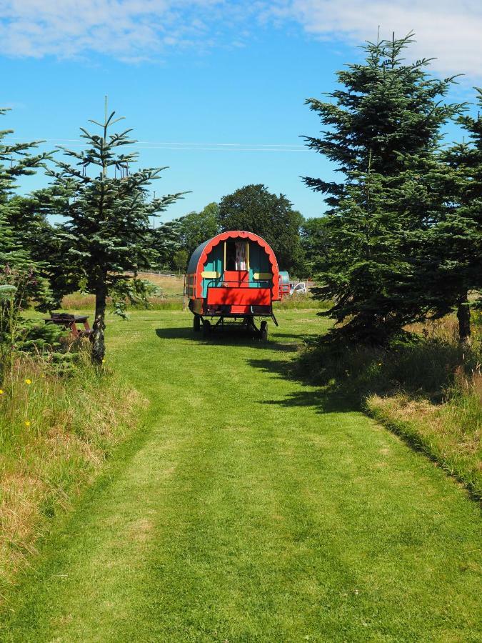 Clissmann Horse Caravans Glamping Rathdrum Exterior photo