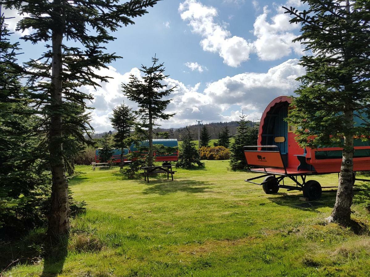 Clissmann Horse Caravans Glamping Rathdrum Exterior photo
