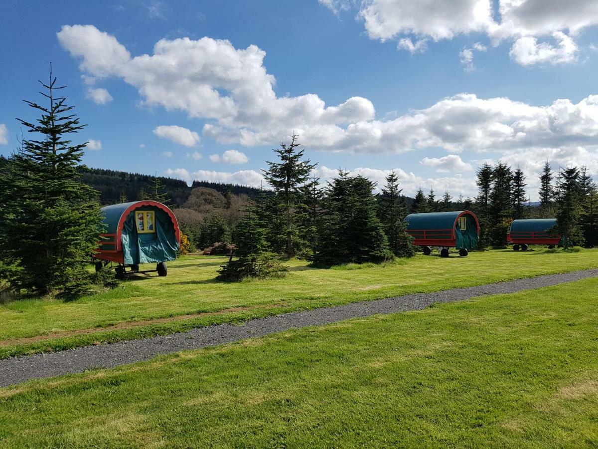 Clissmann Horse Caravans Glamping Rathdrum Exterior photo