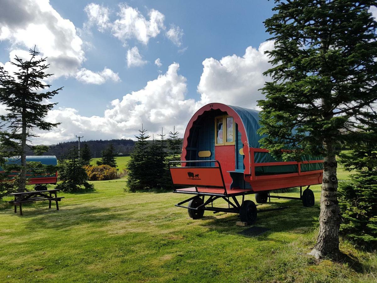 Clissmann Horse Caravans Glamping Rathdrum Exterior photo