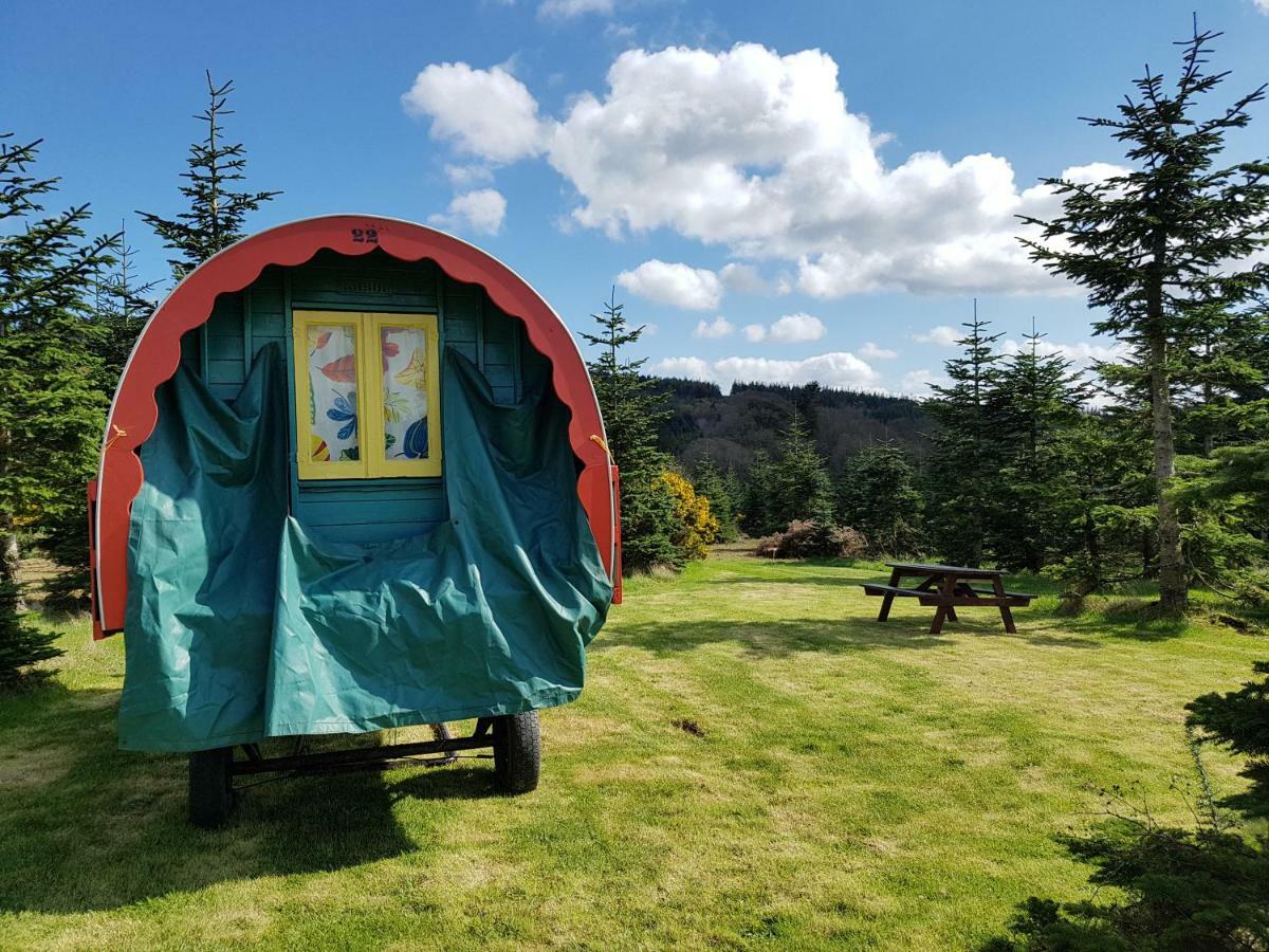 Clissmann Horse Caravans Glamping Rathdrum Exterior photo