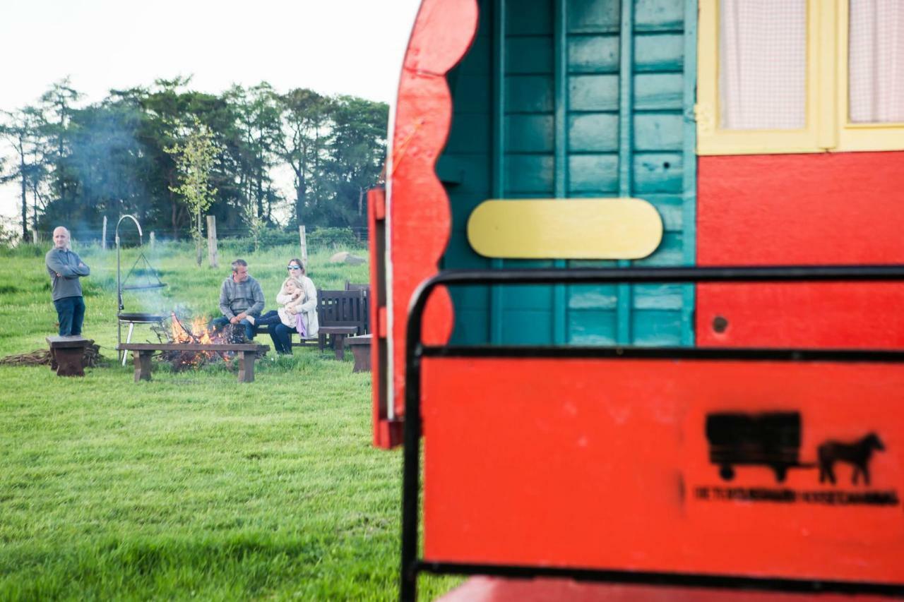Clissmann Horse Caravans Glamping Rathdrum Exterior photo